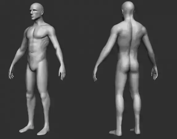 male model mannequin