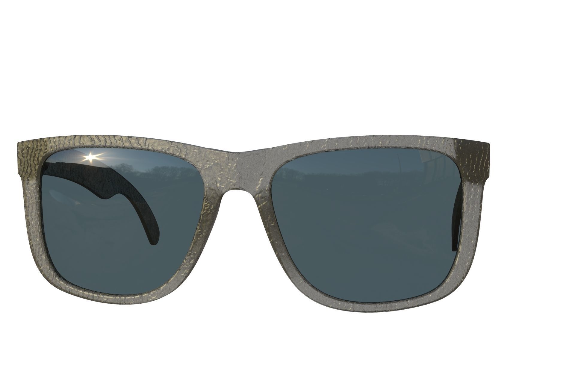 RayBan 4165 3D model_1
