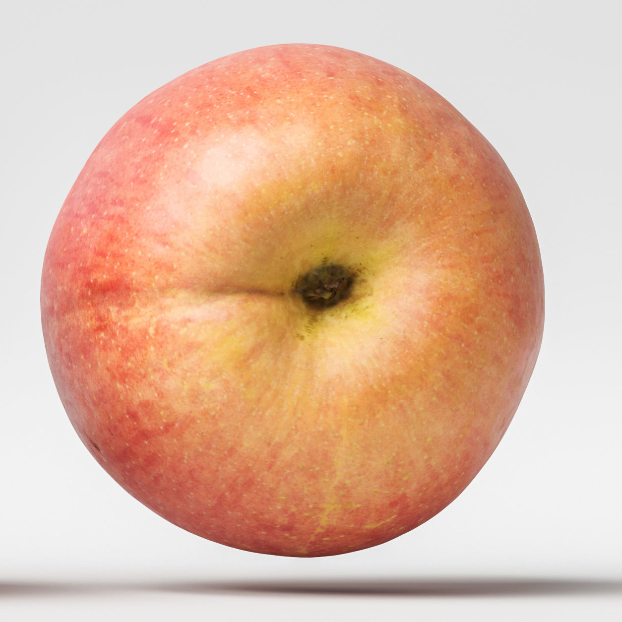 Apple 3D model_7