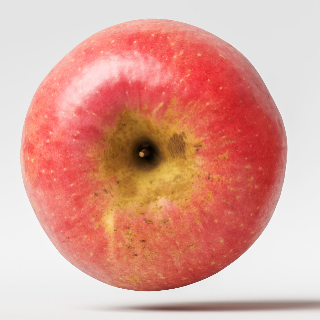 Apple 3D model_5