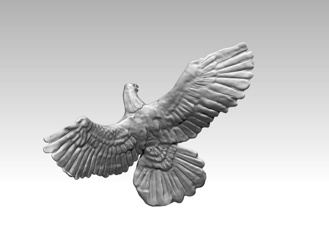 Flying eagle 3D print model_2