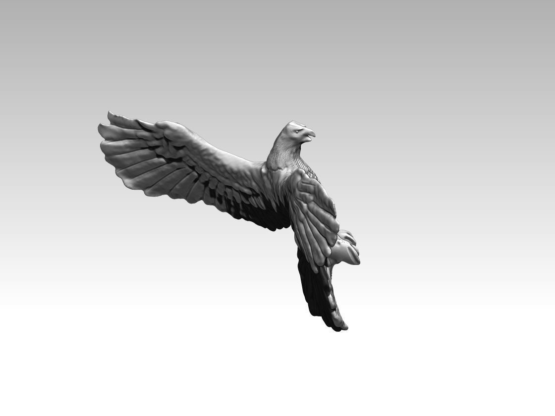 Flying eagle 3D print model_3