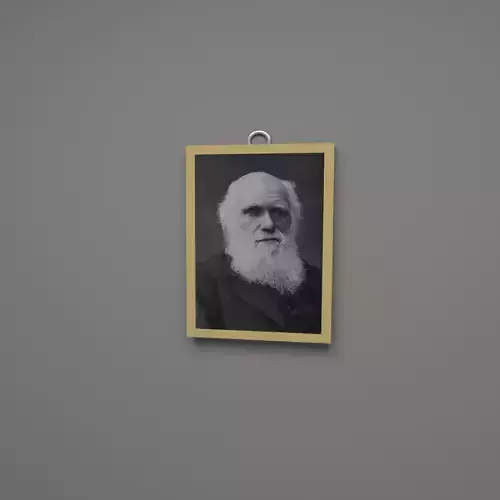 Charles Darwin wall frame Low-poly 3D model