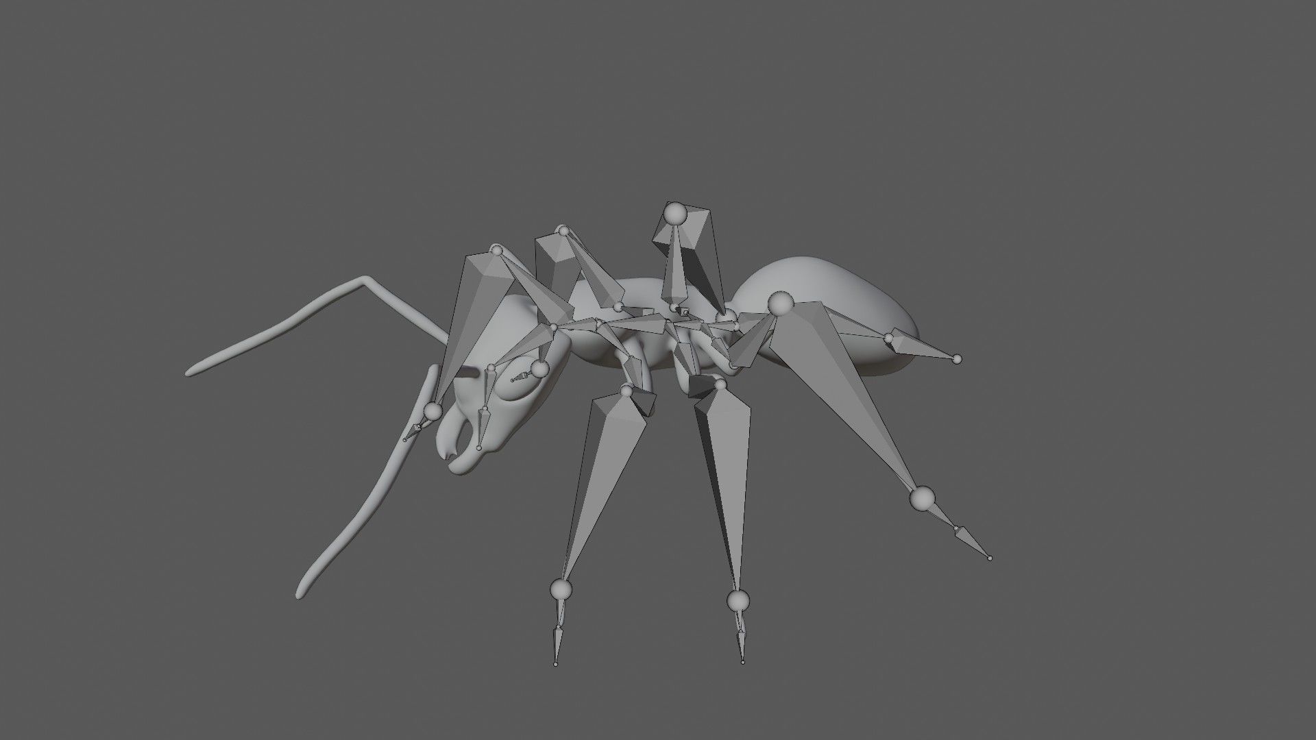 Bullet black Ant Low-poly 3D model_7