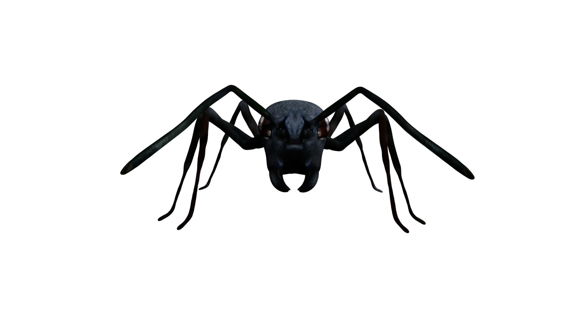 Bullet black Ant Low-poly 3D model_3