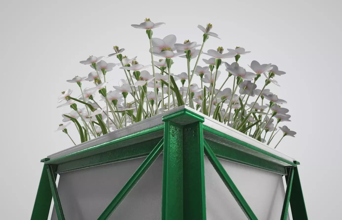 Flower Pot White Flowers Version 2 Low-poly 3D model_0