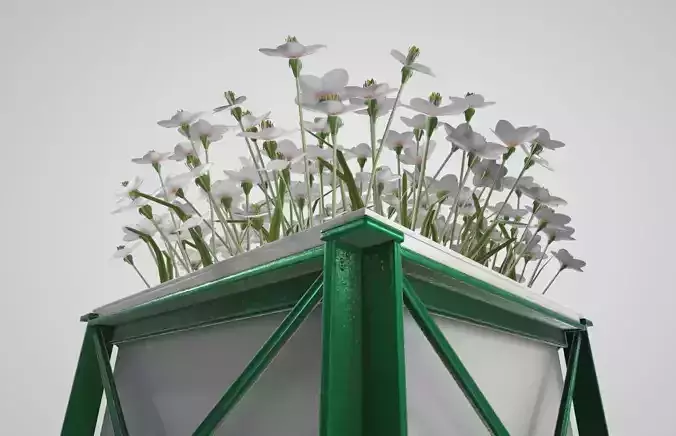Flower Pot White Flowers Version 2 Low-poly 3D model