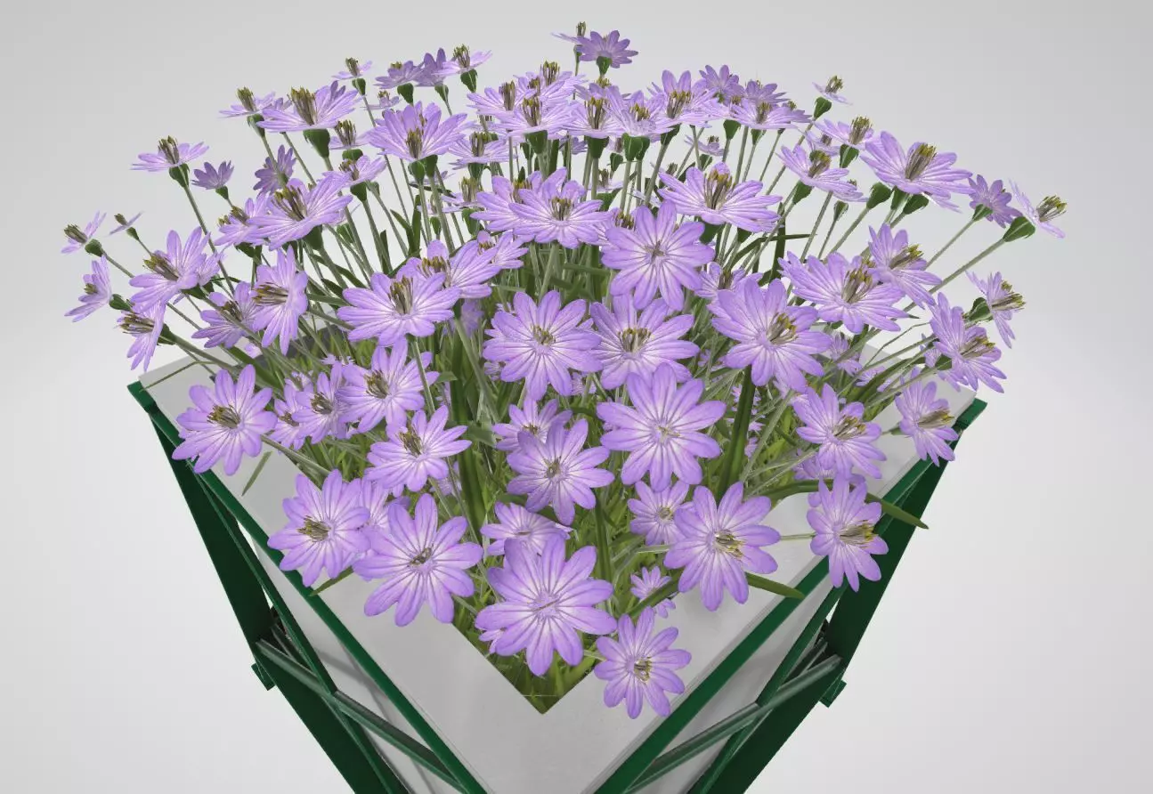 Flower Pot Violet Flowers Version 2 Low-poly 3D model_0