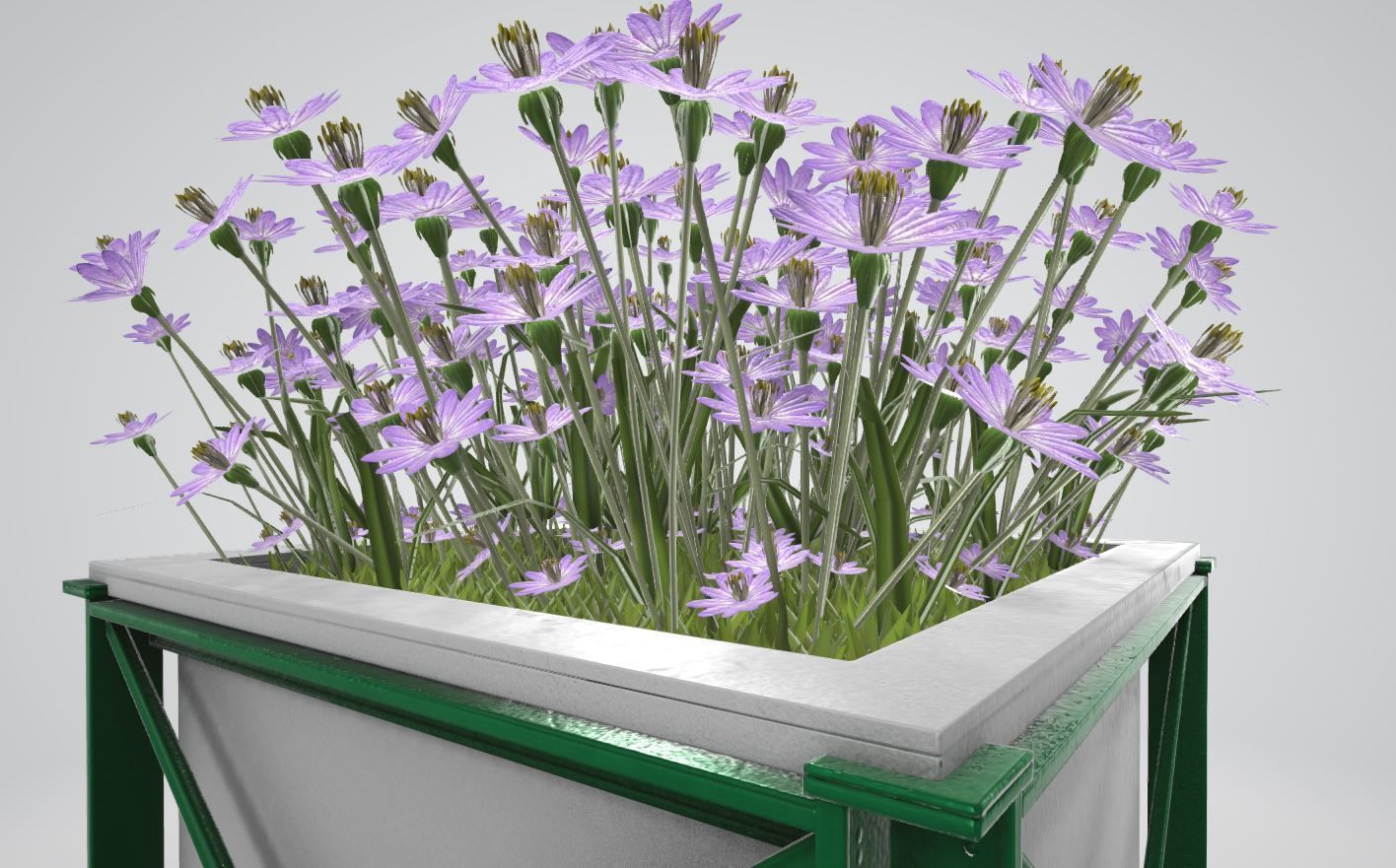 Flower Pot Violet Flowers Version 2 Low-poly 3D model_8