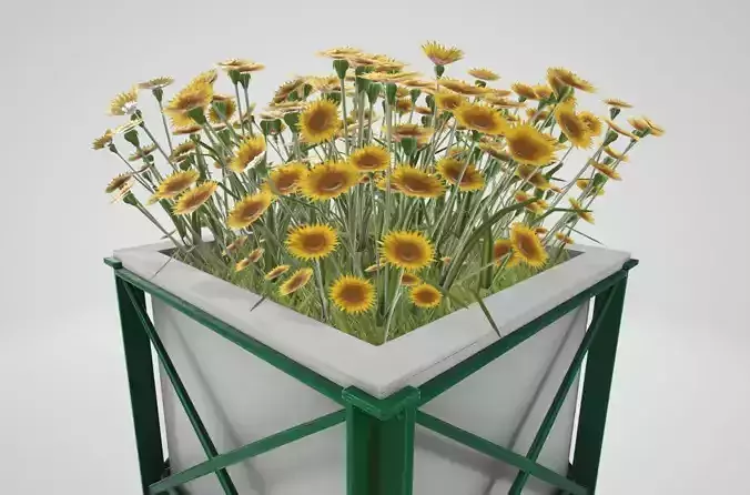 Flower Pot Sunflowers Version 2 Low-poly 3D model