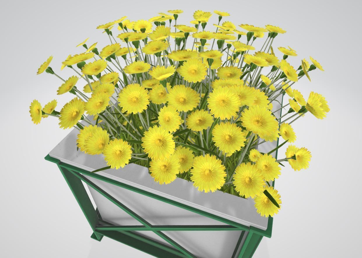 City Flower Pot with Flowers Version 2 3D Model Collection_39