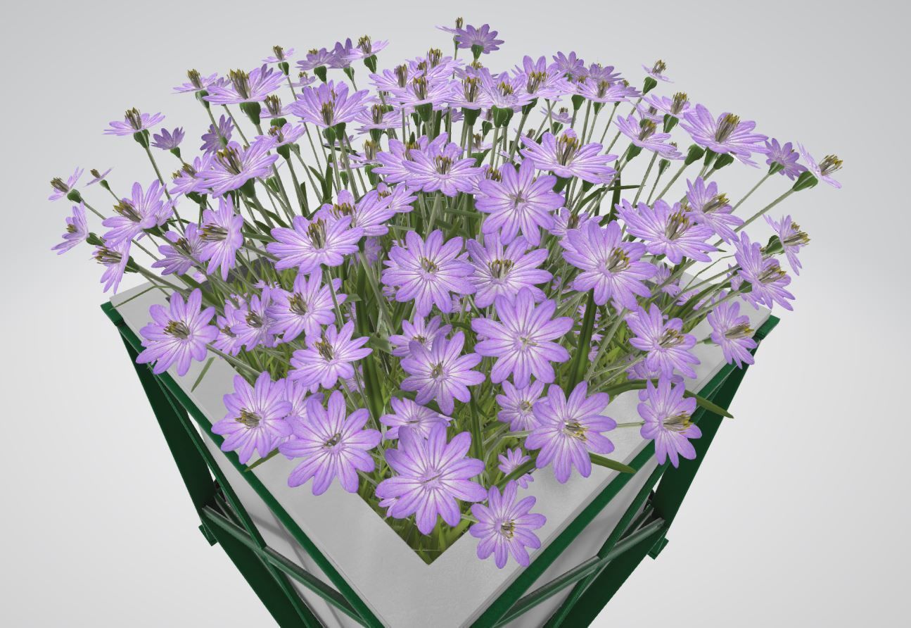 City Flower Pot with Flowers Version 2 3D Model Collection_44