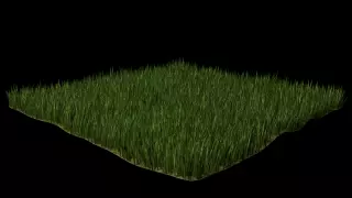 FREE GRASS Free 3D model_0