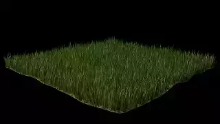 FREE GRASS