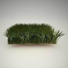 FREE GRASS Free 3D model_1
