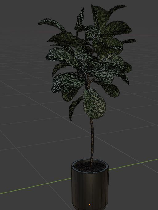 FLOWER two plants in pot on table Free low-poly 3D model_2