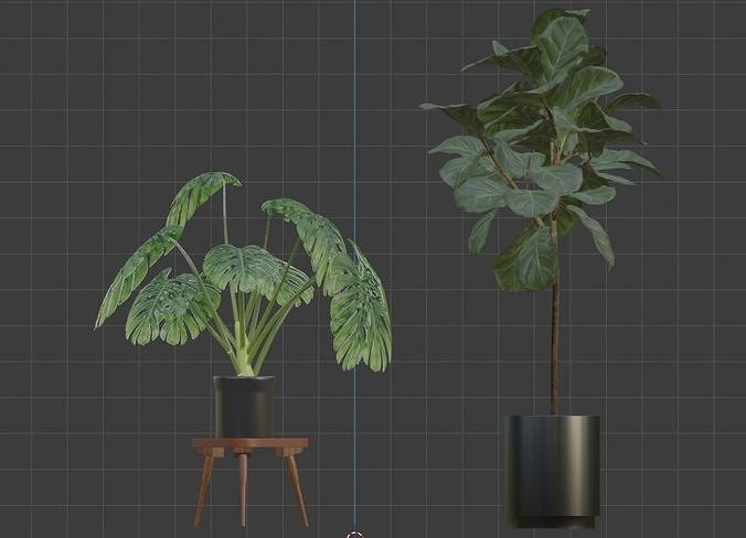 FLOWER two plants in pot on table Free low-poly 3D model