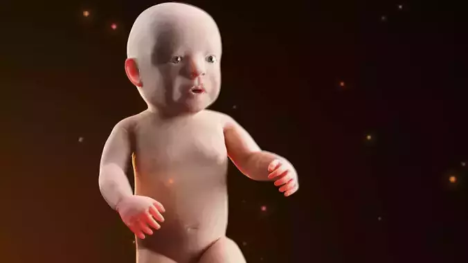 baby new born rigged 