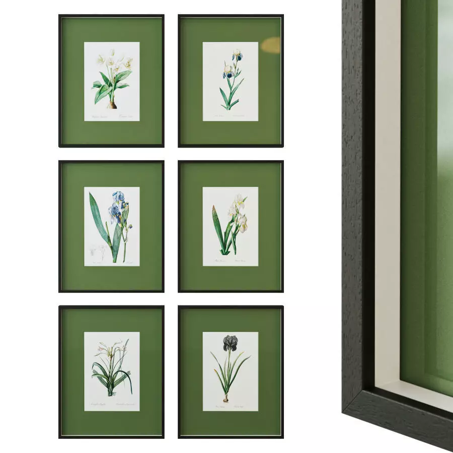 Floral posters with green passe-partout 3D model
