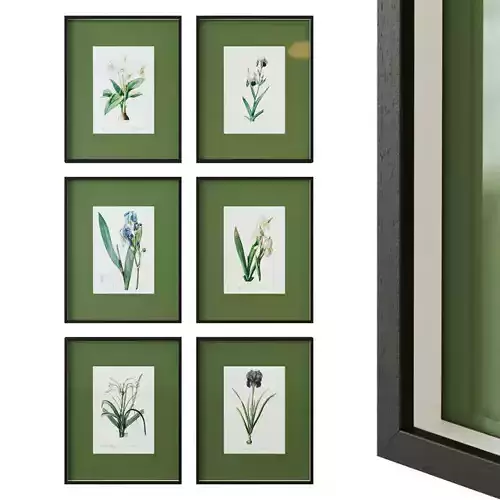 Floral posters with green passe-partout