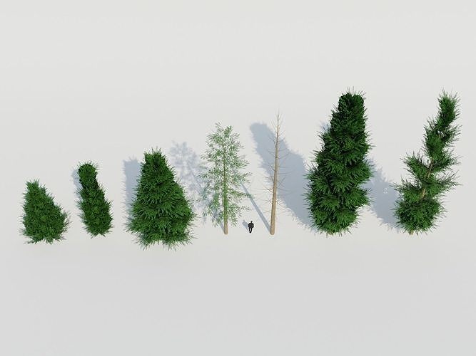 Spruce Fir Trees pack Low-poly 3D model