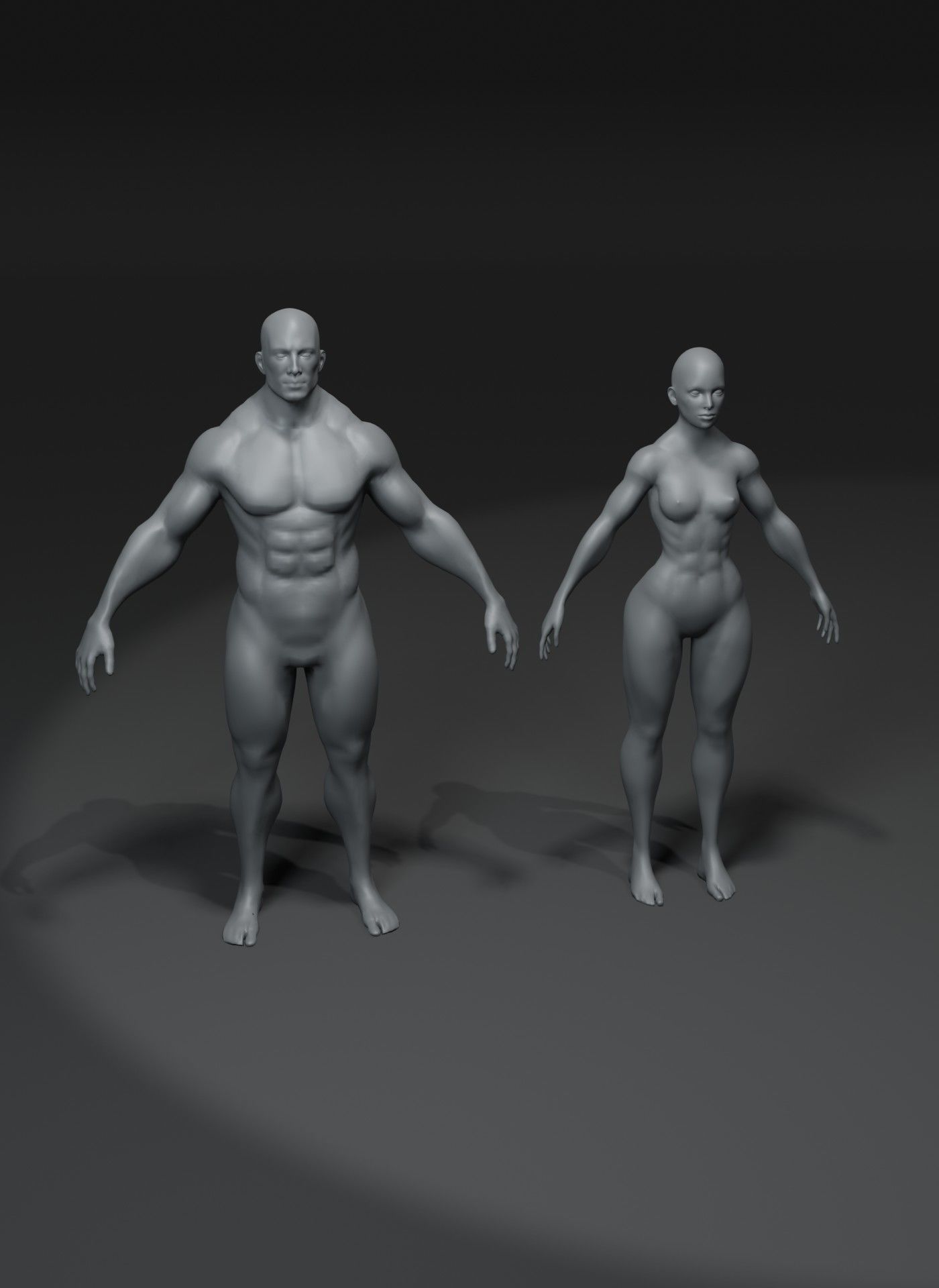 Human Body Base Mesh 10 3D Models Pack 20k Polygons 3D Model Collection_16