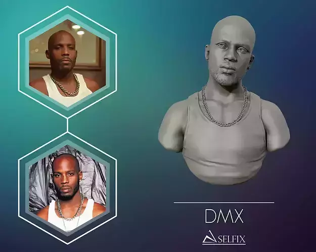 DMX Bust 3D print model