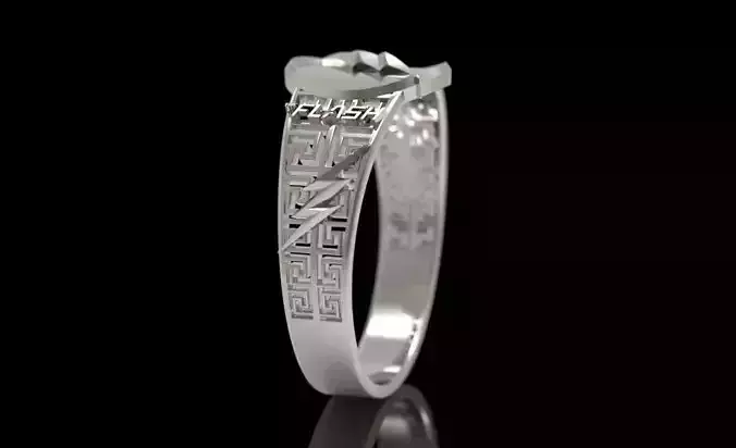  The flash 3 3D print model