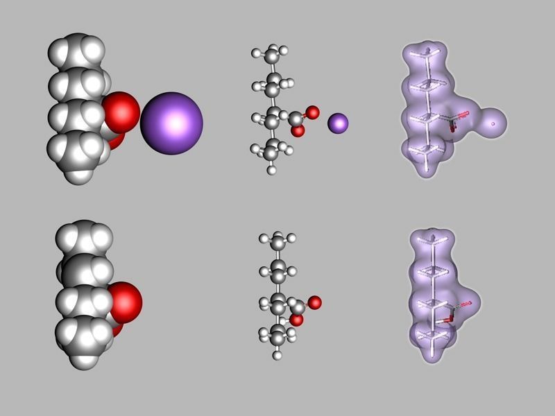 Valproic acid and sodium valproate molecules 3D model_2