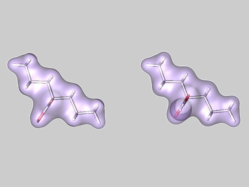 Valproic acid and sodium valproate molecules 3D model_5