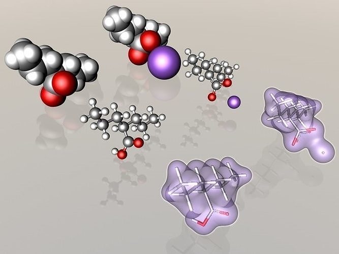 Valproic acid and sodium valproate molecules 3D model
