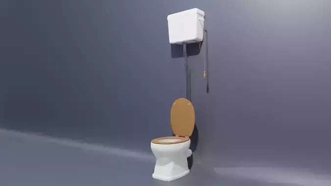 High Level Toilet