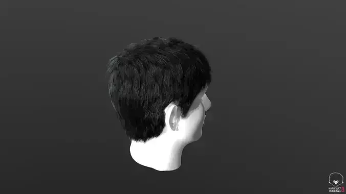 Real-time hair