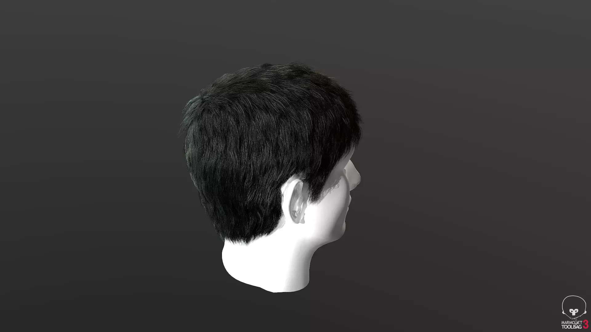 Real-time hair Low-poly 3D model