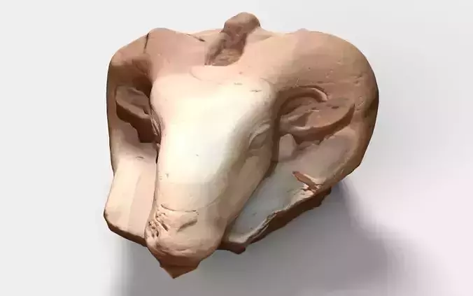 Egyptian goat head
