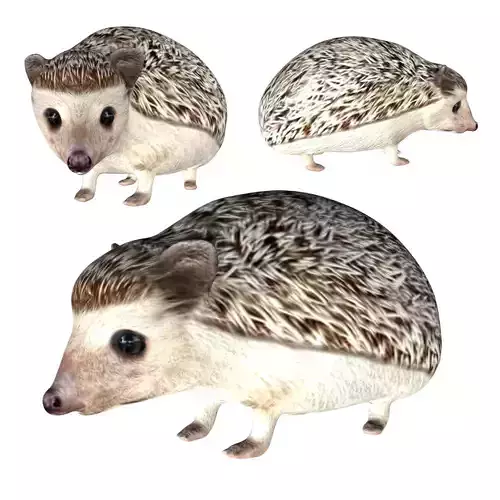 Hedgehog Low-poly 3D model