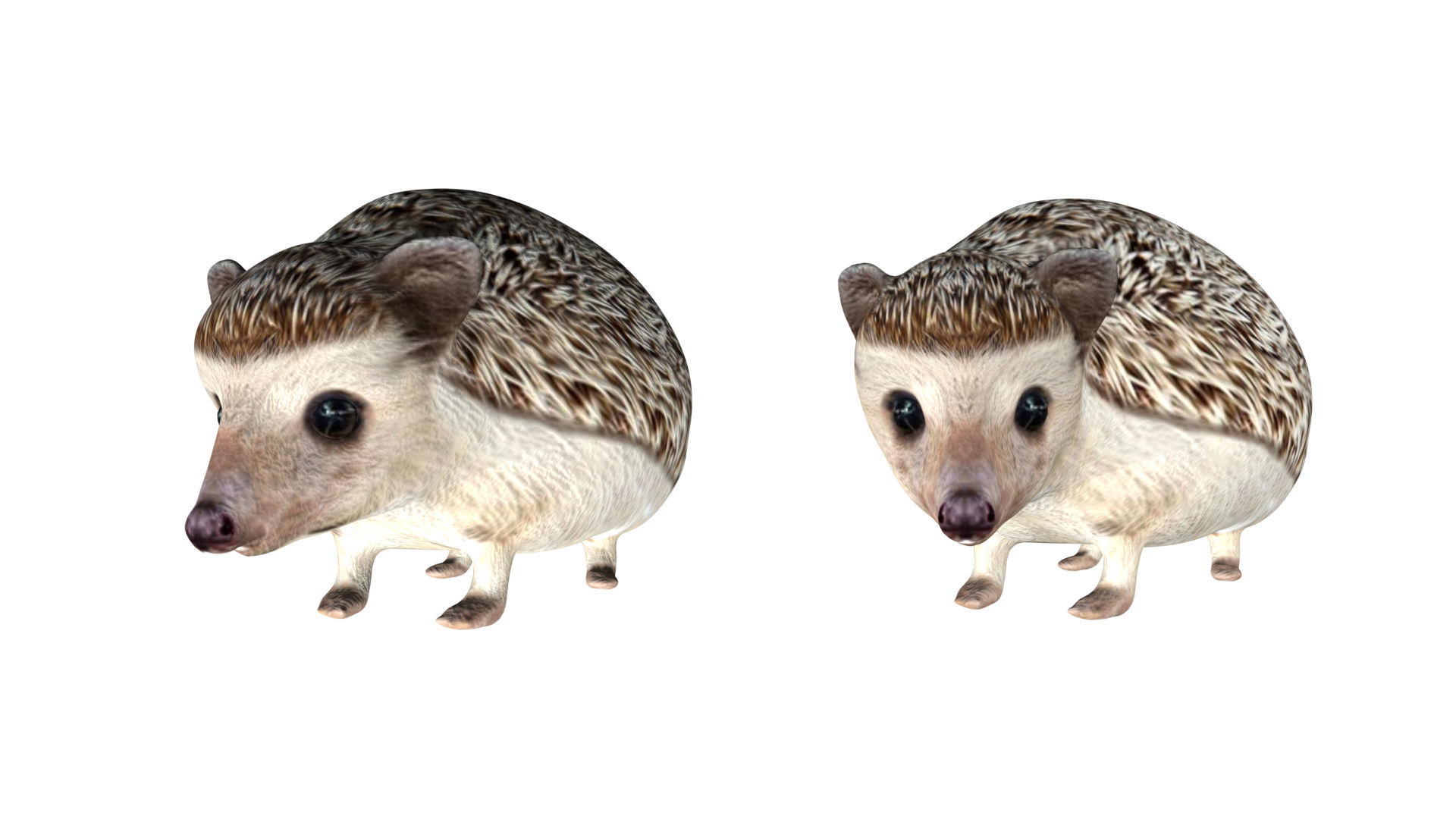 Hedgehog Low-poly 3D model_3