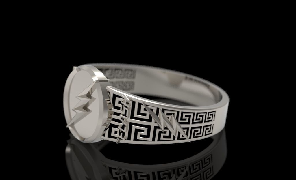 The flash 5 3D print model_3