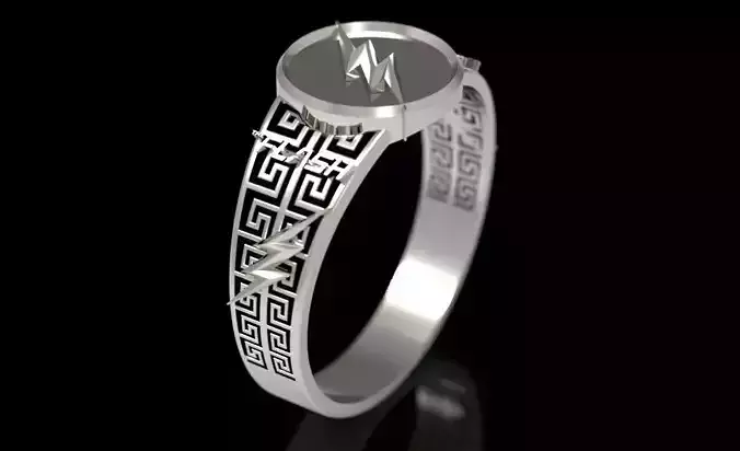 The flash 5 3D print model