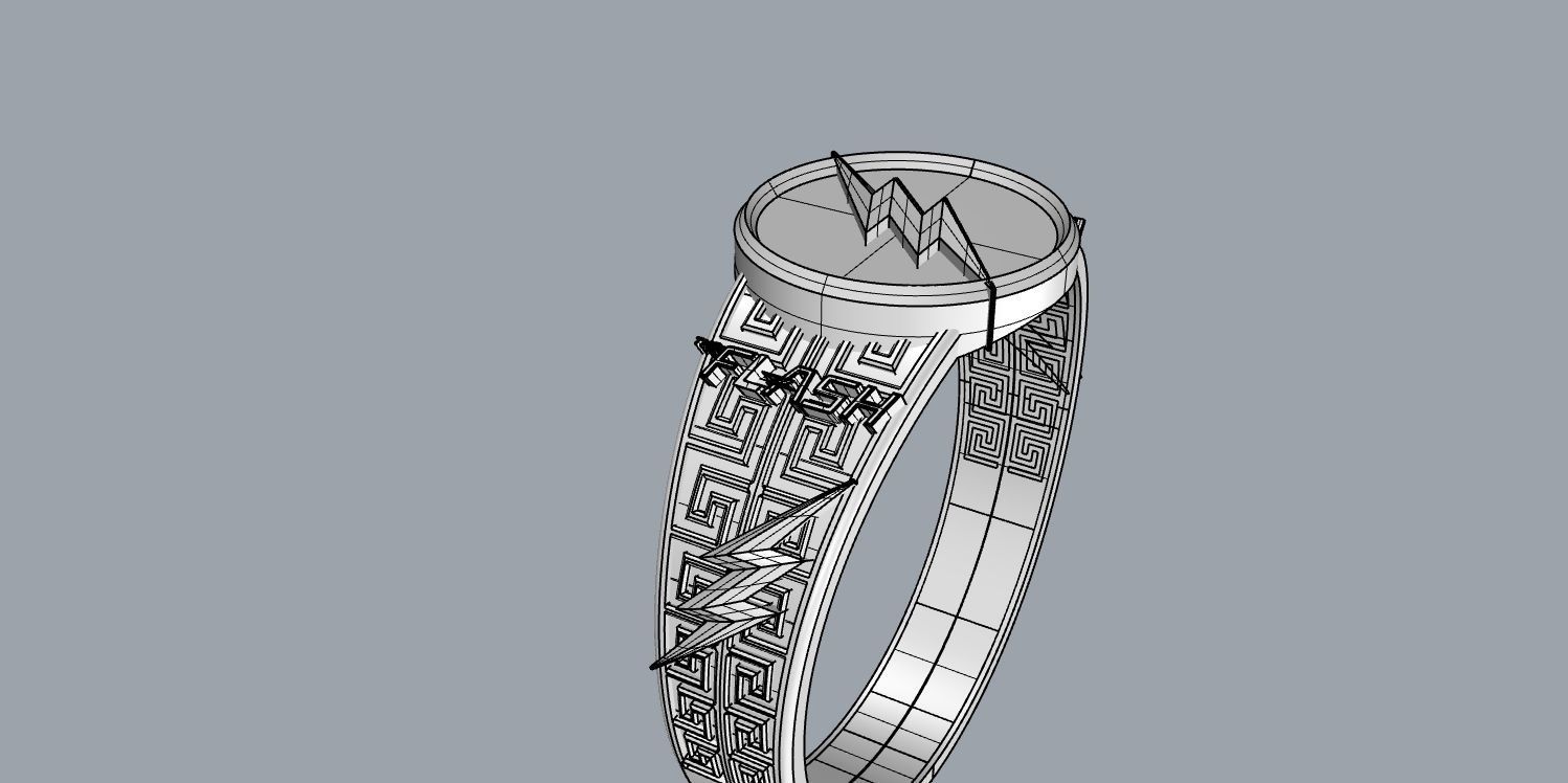 The flash 5 3D print model_12