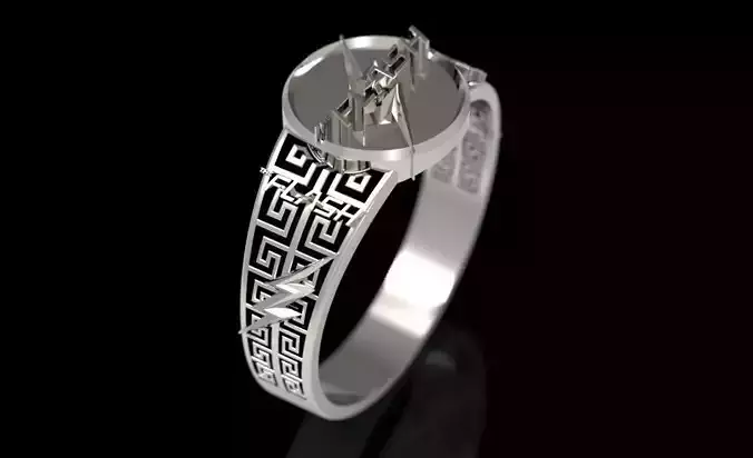 The flash 6 metal ring 3D print model