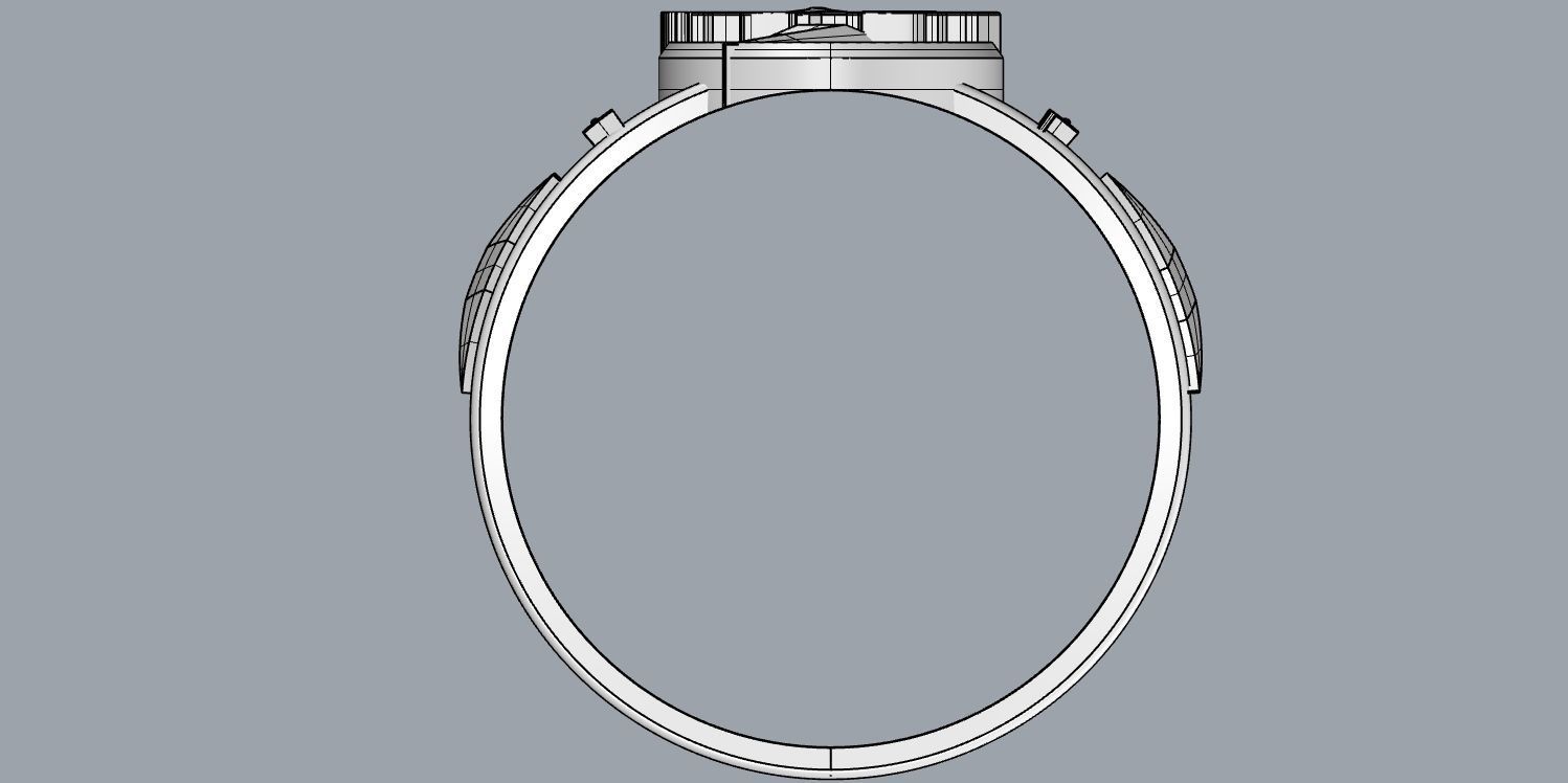 The flash 6 metal ring 3D print model_11