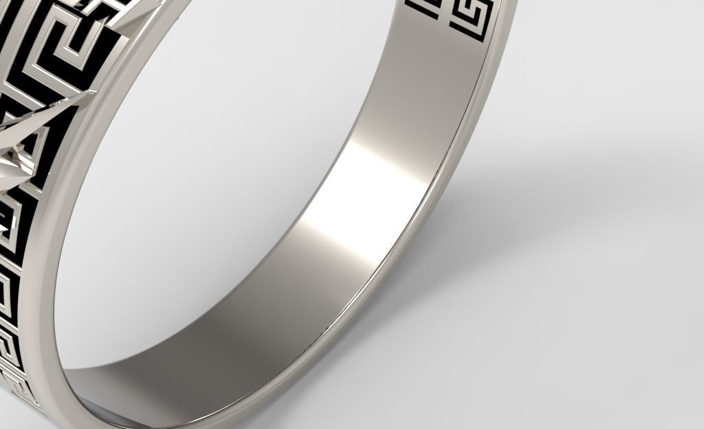 The flash 6 metal ring 3D print model_31