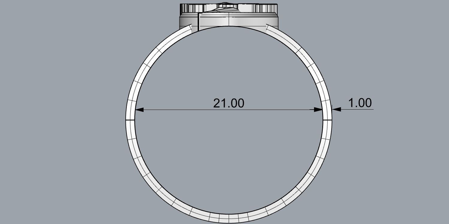 The flash 8 engagement ring 3D print model_24