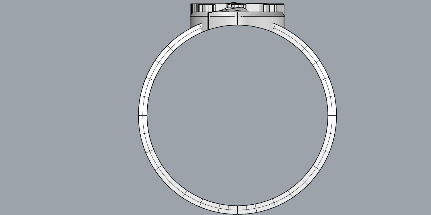 The flash 8 engagement ring 3D print model_21