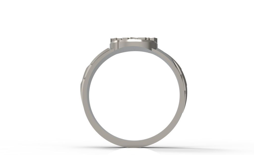 The flash 9 diamond ring 3D print model_31