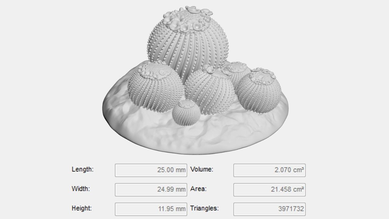 Tabletop Miniatures - Sand Desert Cactus Package 3D print model_6