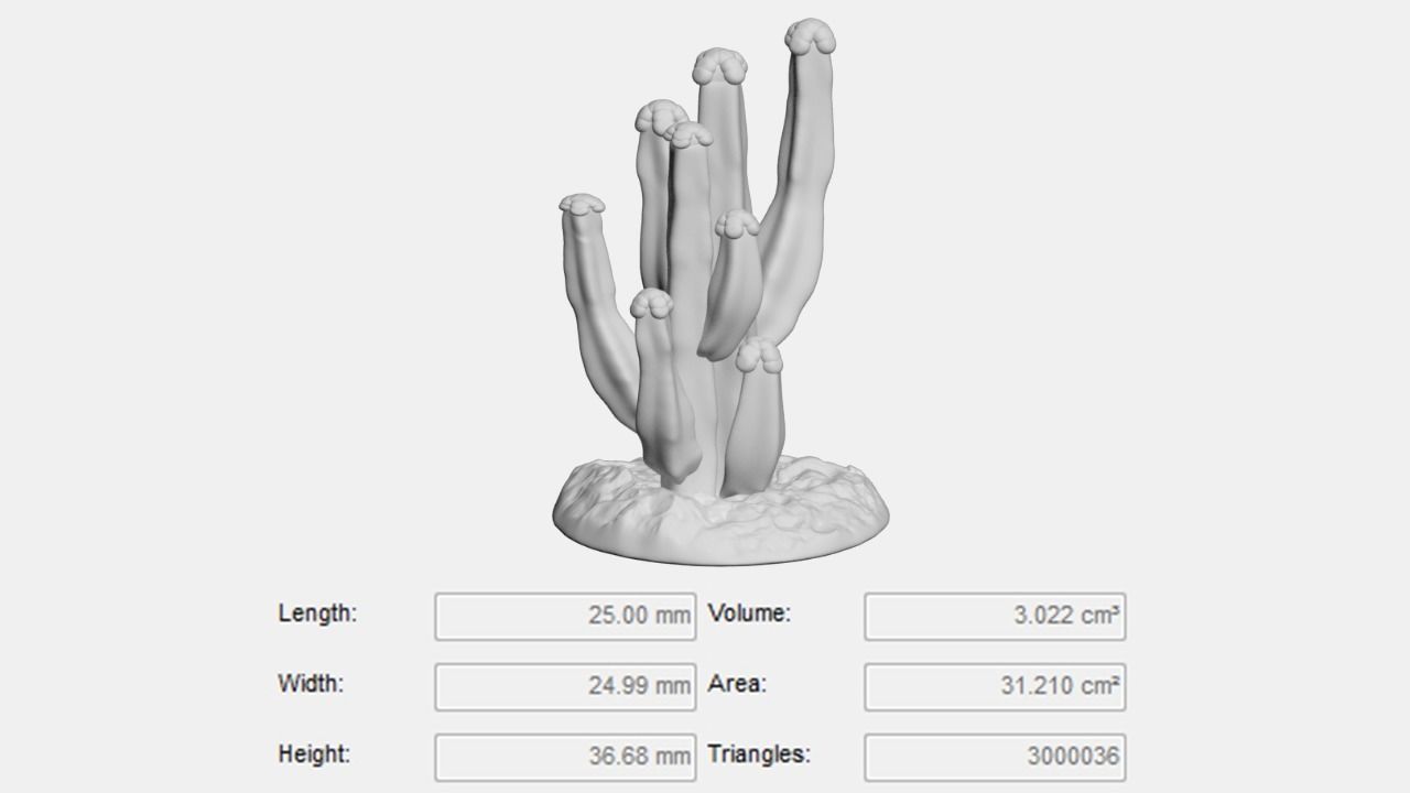 Tabletop Miniatures - Sand Desert Cactus Package 3D print model_10