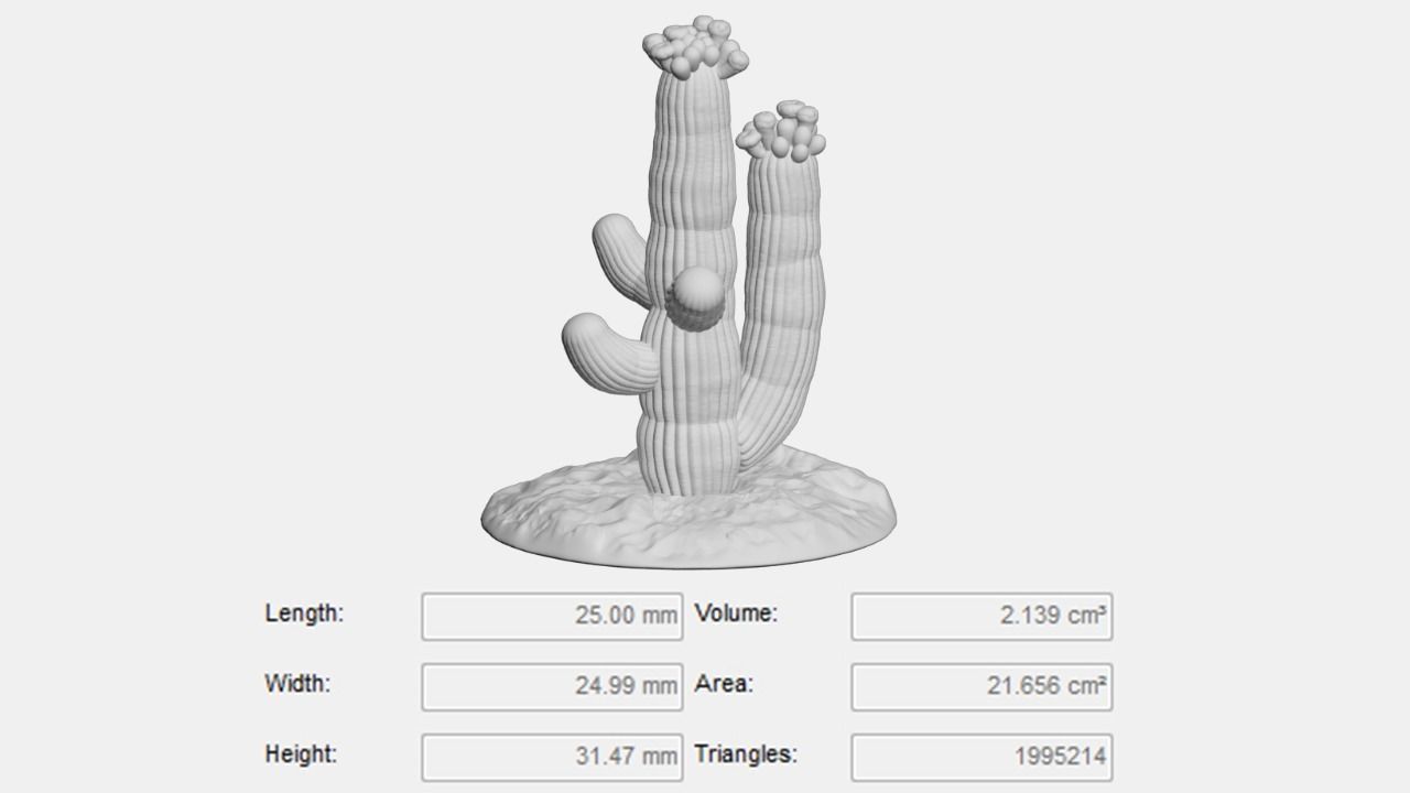 Tabletop Miniatures - Sand Desert Cactus Package 3D print model_8
