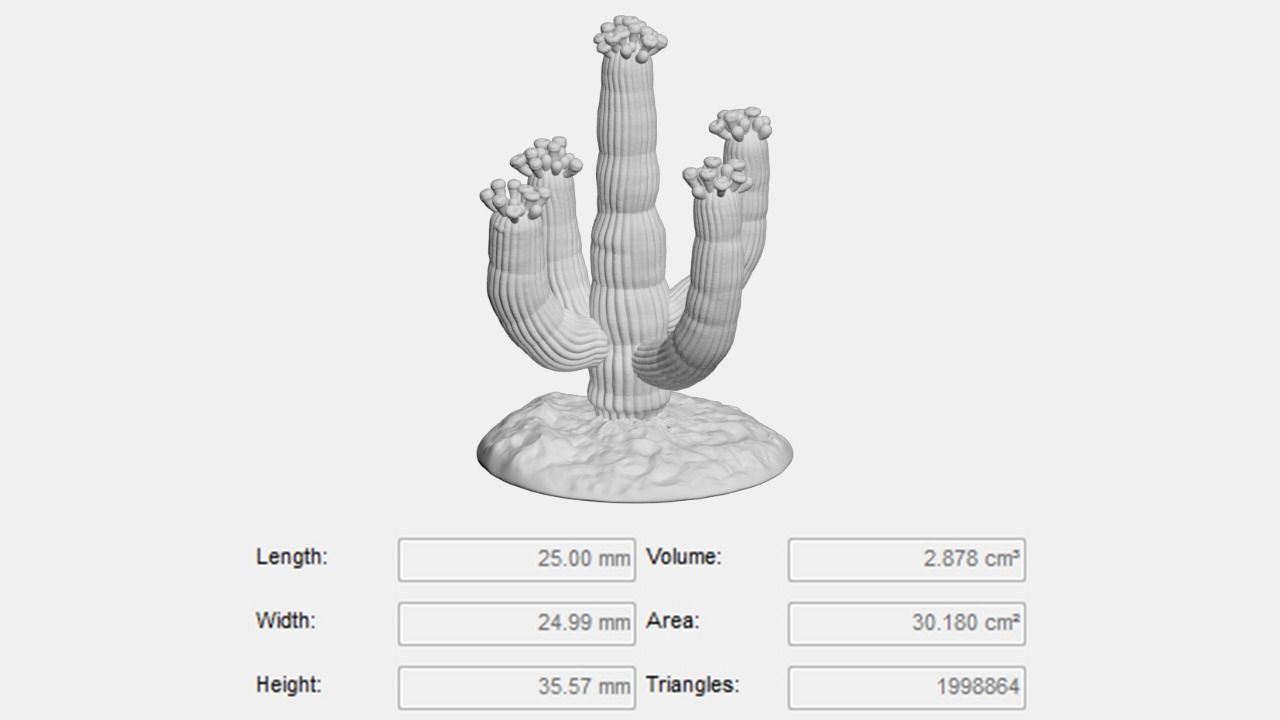 Tabletop Miniatures - Sand Desert Cactus Package 3D print model_7